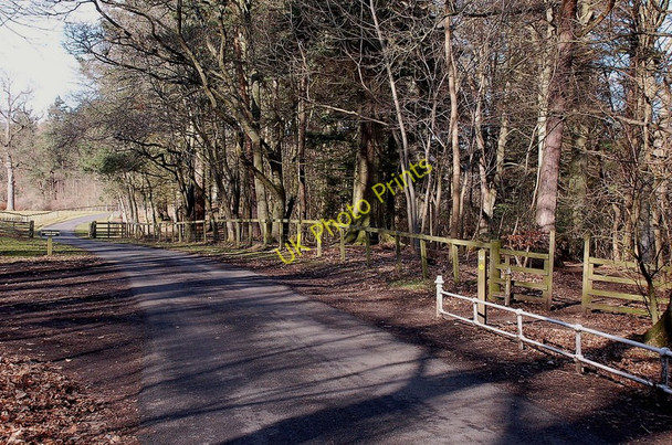 Photo 6"x4" Private road to Lowood House Melrose\/NT5434 c2011