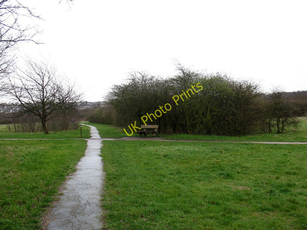 Photo 6"x4" Path junction on Woolwich Common Woolwich c2011