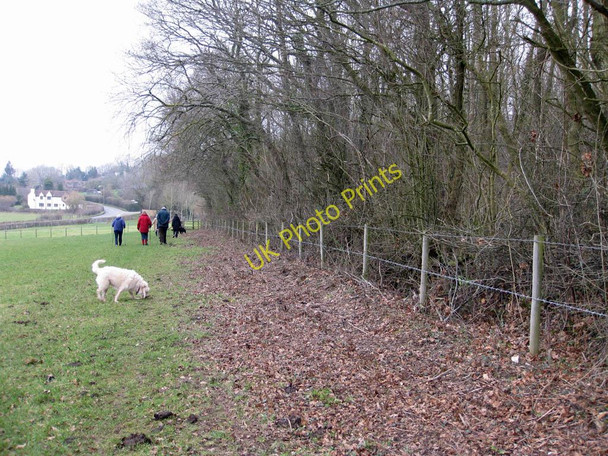 Photo 6"x4" Along the edge of Reslaw Wood Aston Ingham c2011