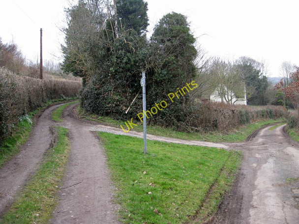 Photo 6"x4" Minor road and footpath Boulsdon c2011