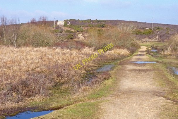 Photo 6"x4" The Southern Slope of Turf Hill Bisterne Close c2011