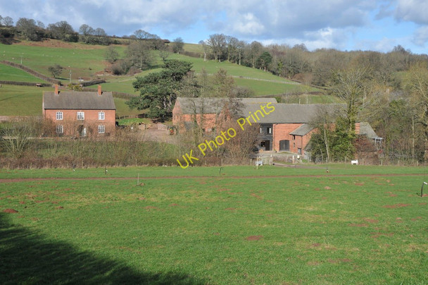 Photo 6"x4" Farm near Dulas Abbey Dore c2011