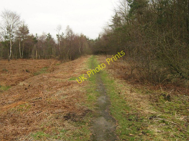 Photo 6"x4" Old Forest Road, Abronhill Cumbernauld c2011