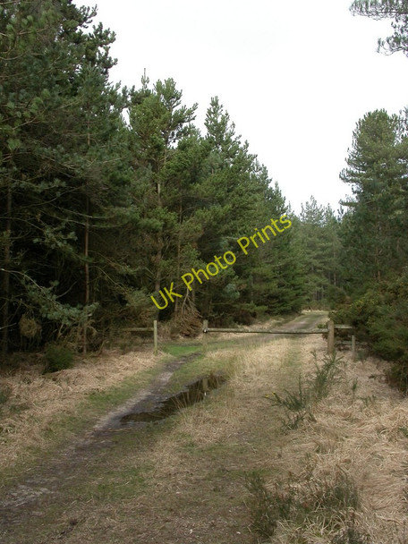 Photo 6"x4" Pistle Hill, bridleway junction Gotham\/SU0811 c2011