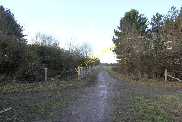 Photo 6"x4" Crossroad on the Icknield way Rowstock c2011