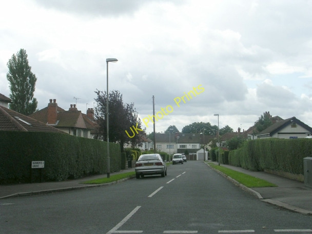 Photo 6"x4" Nunroyd Grove - Lidgett Lane Moortown\/SE3038 c2009