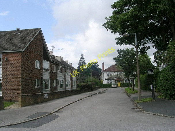 Photo 6"x4" Falkland Grove - Falkland Mount Moortown\/SE3038 c2009