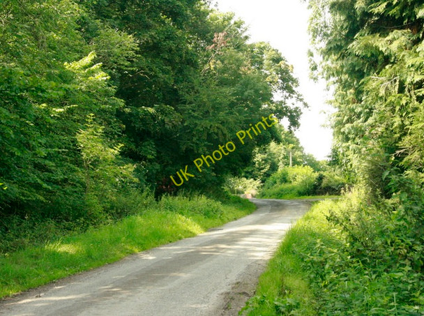 Photo 6"x4" 2009 : Minor road near Westfield Farm Nettleton\/ST8178 c2009