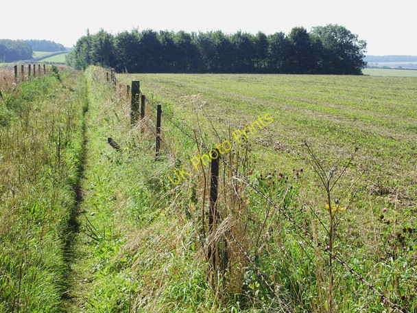 Photo 6"x4" Bridleway to Launceston Down Tarrant Launceston c2009