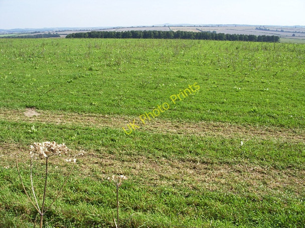 Photo 6"x4" Launceston Down (1) Tarrant Launceston c2009