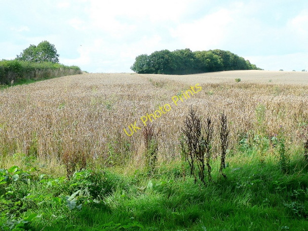 Photo 6"x4" Arable land near Adlestrop 1 Lower Oddington c2009