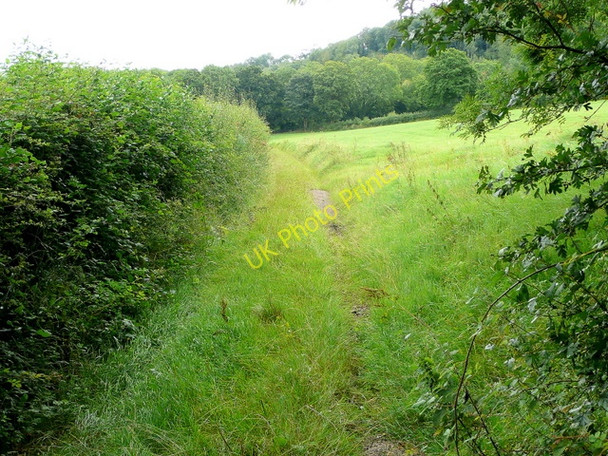 Photo 6"x4" Track to Troy Orles Wood Monmouth\/Trefynwy c2009