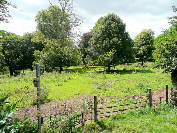 Photo 6"x4" Footpaths diverge at How Caple Crossway\/SO6131 c2009
