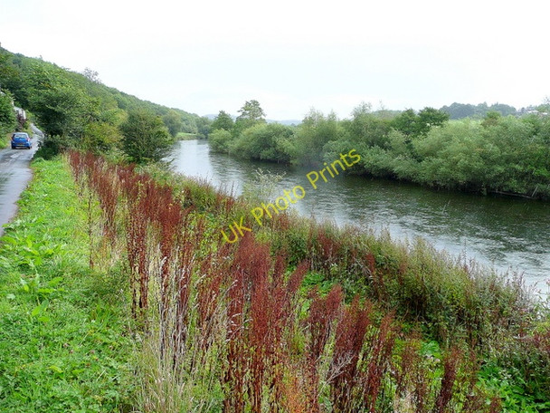 Photo 6"x4" The Wye bank near Hoarwithy Broadway Lands c2009