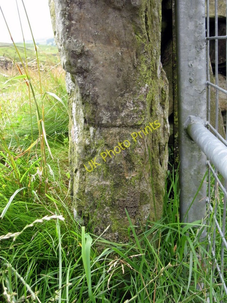 Photo 6"x4" Bench mark alongside Long Lane Studfold\/SD8170 c2009