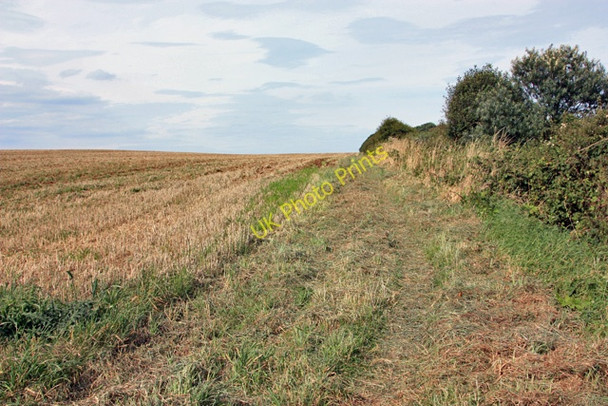 Photo 6"x4" Footpath to Lighthouse Road Flamborough c2009