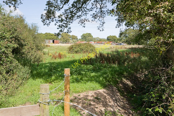 Photo 6"x4" Footpath beside railway line near Swaylett Farm Golden Hill\/SZ2695 c2009