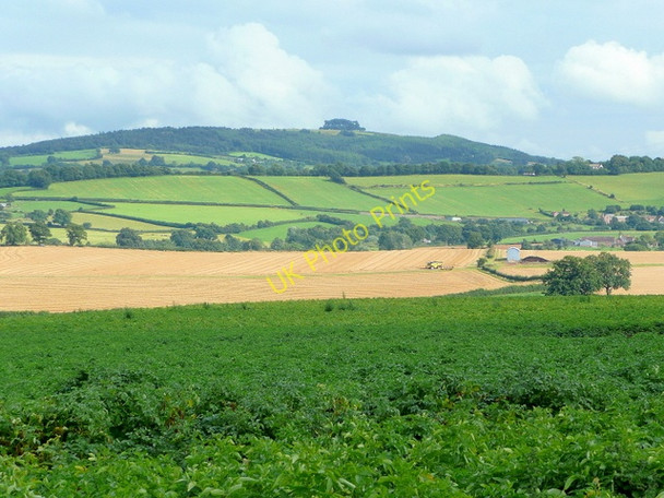 Photo 6"x4" View to May Hill; August 2009 Bromsash c2009