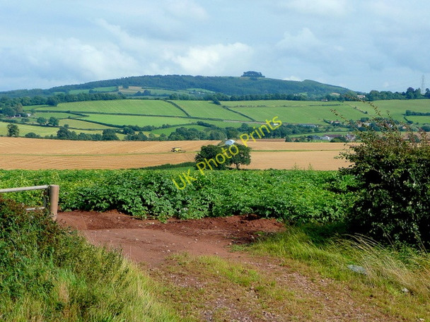 Photo 6"x4" View to May Hill; August 2009 2 Bromsash c2009