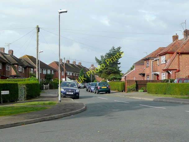 Photo 6"x4" Hawthorn Grove, Putson Hereford c2009
