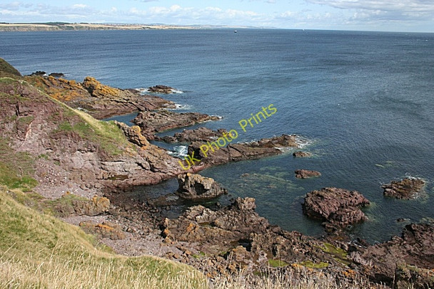 Photo 6"x4" The Spectacle Lunan\/NO6851 c2009