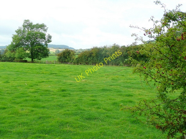 Photo 6"x4" Pastoral scene south of Dinedor Dinedor c2009