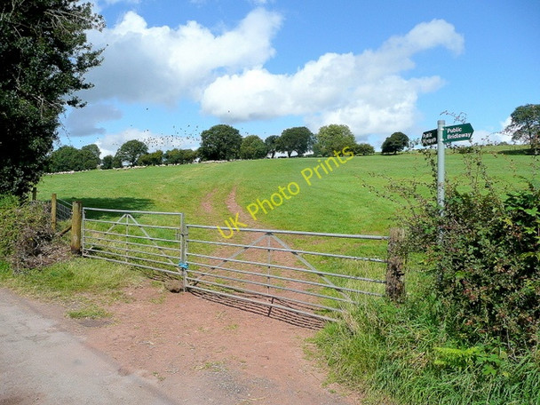 Photo 6"x4" Footpath to Pool Hill Brimps Hill c2009