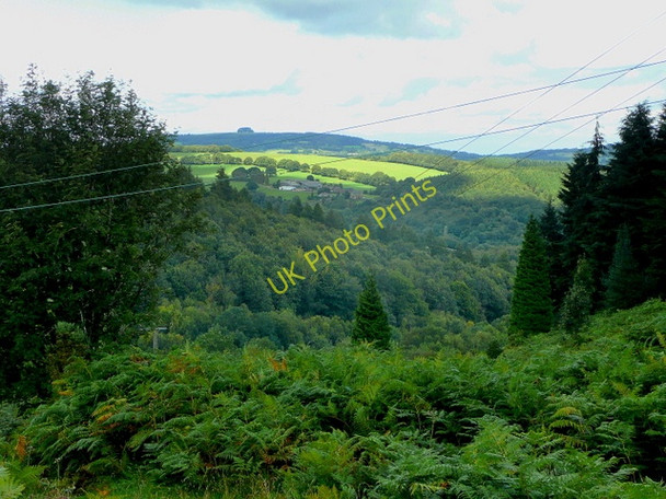 Photo 6"x4" View to May Hill from Edge Hill Collafield c2009