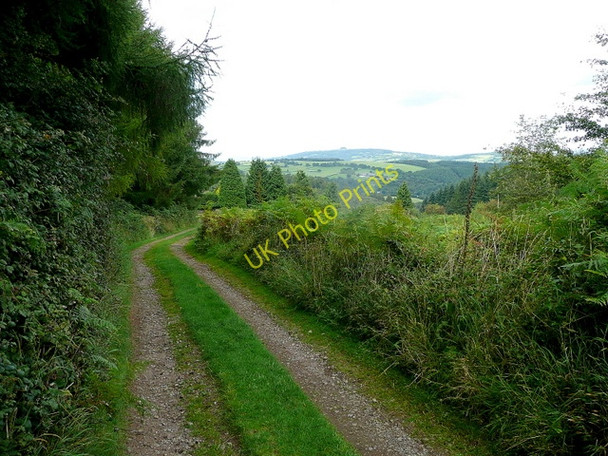 Photo 6"x4" Track to Edge Hills Collafield c2009