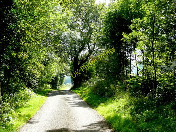 Photo 6"x4" Lane at Collafield Collafield c2009