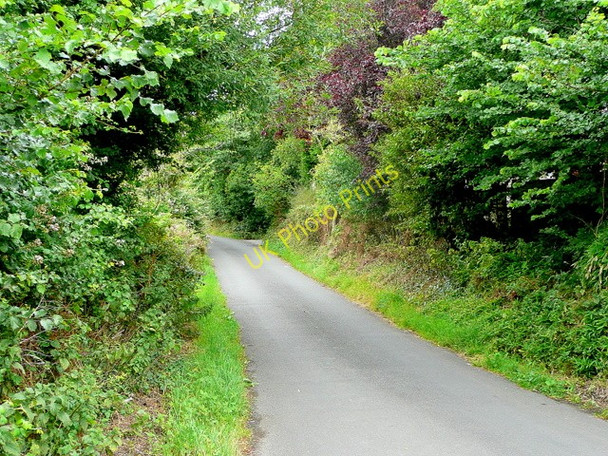 Photo 6"x4" Wharf Lane Sheepway c2009