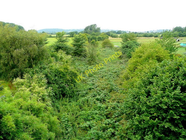 Photo 6"x4" The old Portishead branch line Portbury c2009