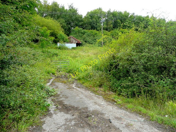 Photo 6"x4" Shack next to the old Portishead railway line Easton-in-Gordano c2009
