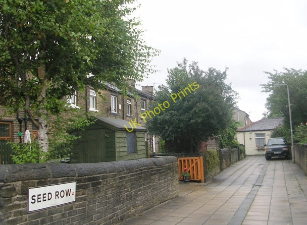 Photo 6"x4" Seed Row - Bierley Lane Toftshaw c2009