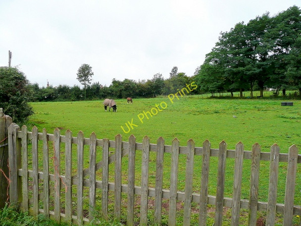 Photo 6"x4" Pasture in Merrivale Ross-on-Wye c2009