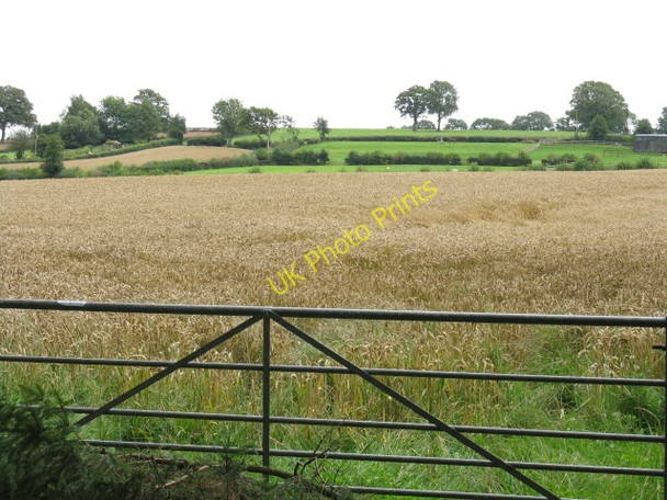 Photo 6"x4" Fields Near Bache Grantsfield\/SO5260 c2009