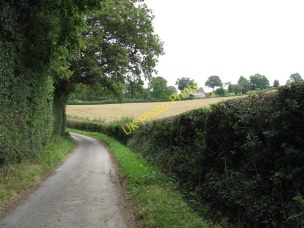 Photo 6"x4" Lane Near Bache Grantsfield\/SO5260 c2009