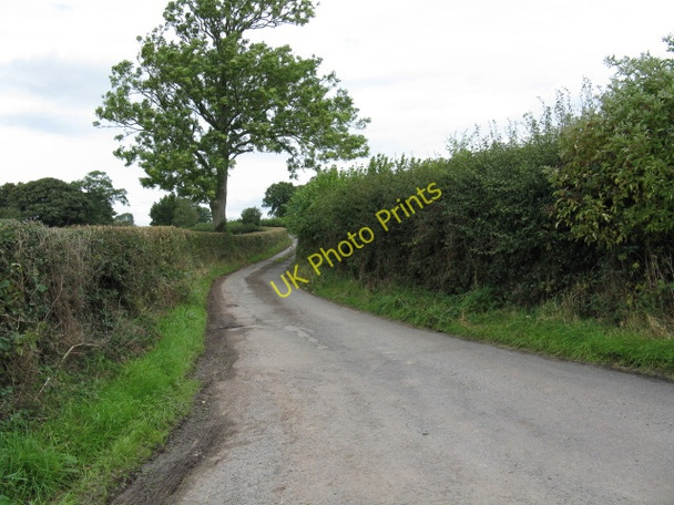 Photo 6"x4" Lane To Lever Hill Woonton\/SO5462 c2009