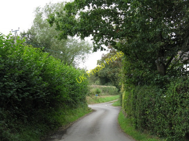 Photo 6"x4" Lane Near Cog Hall Kimbolton\/SO5261 c2009