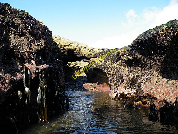 Photo 6"x4" Natural Arch Lunan\/NO6851 c2009