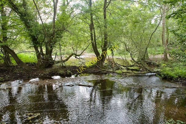 Photo 6"x4" Stream at Puddleslosh Lane Fordingbridge c2009