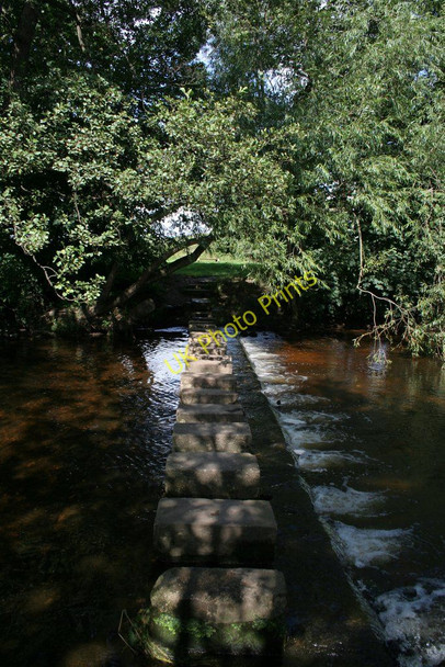 Photo 6"x4" Stepping Stones, Fisher Green Ripon c2009