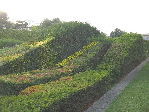 Photo 6"x4" Thames Barrier Park: topiary Woolwich c2009