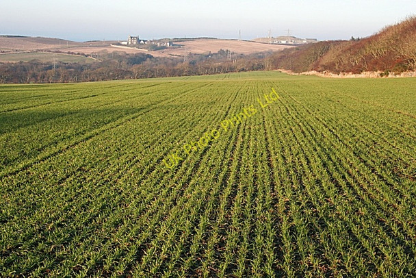 Photo 6"x4" Fields at Corskie Banff\/NJ6864 c2008