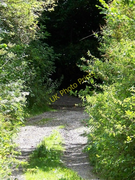 Photo 6"x4" Bridleway, Hillbutts Wimborne Minster c2009