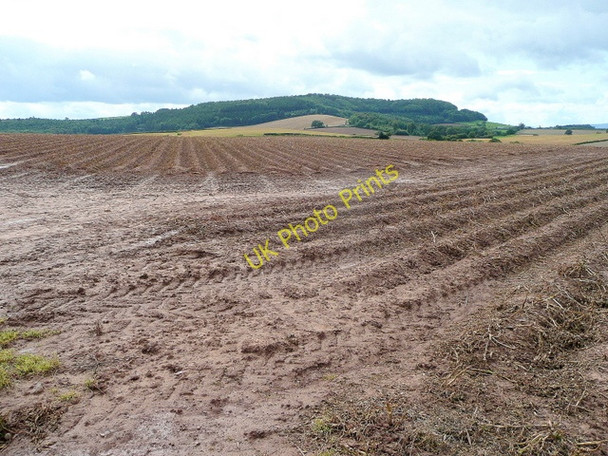 Photo 6"x4" View to Aconbury Hill Twyford Common c2009