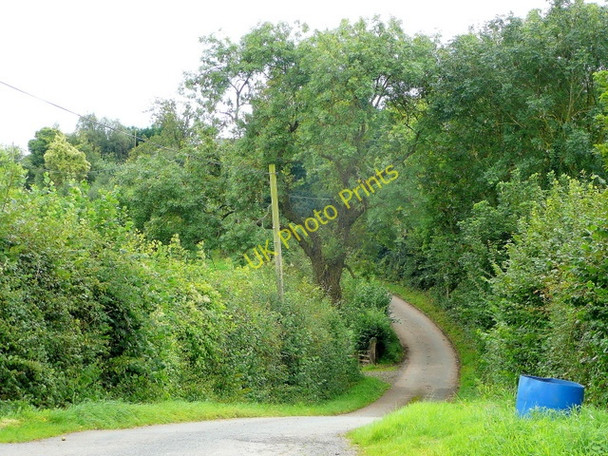 Photo 6"x4" Hollywell Lane Twyford Common c2009