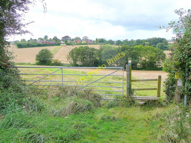 Photo 6"x4" Footpath west to Bullinghope Bullinghope c2009