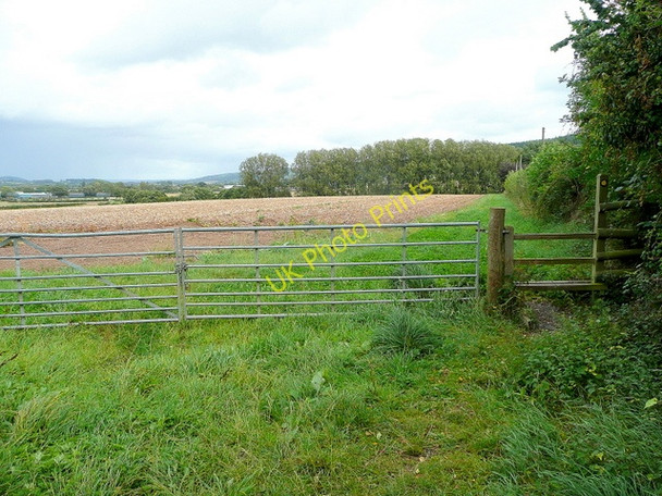 Photo 6"x4" Footpath east to Dinedor Bullinghope c2009