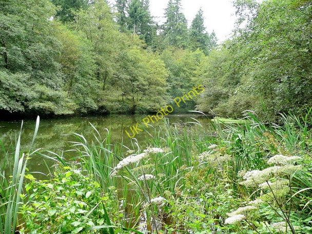Photo 6"x4" Soudley Middle Pond 2 Grange Village c2009